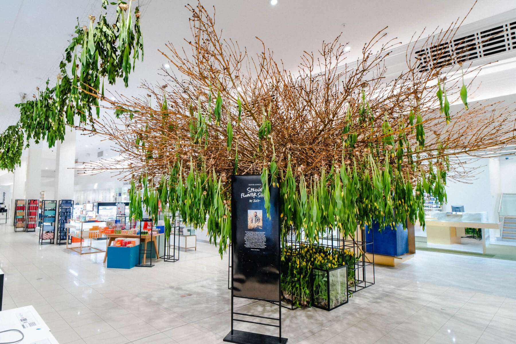 Watch as the Ground Floor of our Bourke Street Flagship store transforms into a biophilic wonderworld by Joost Bakker. 