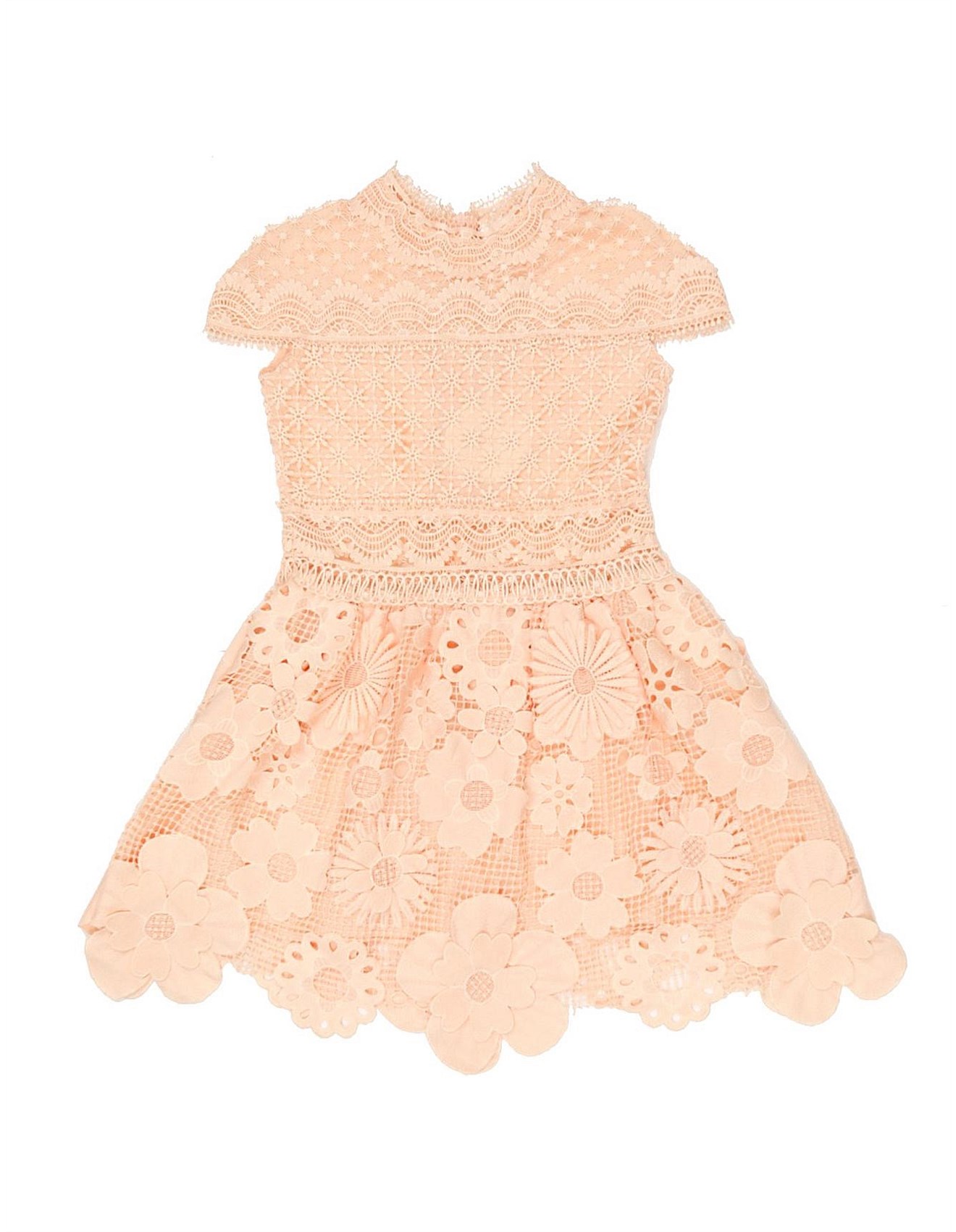 David jones outlet lace dress