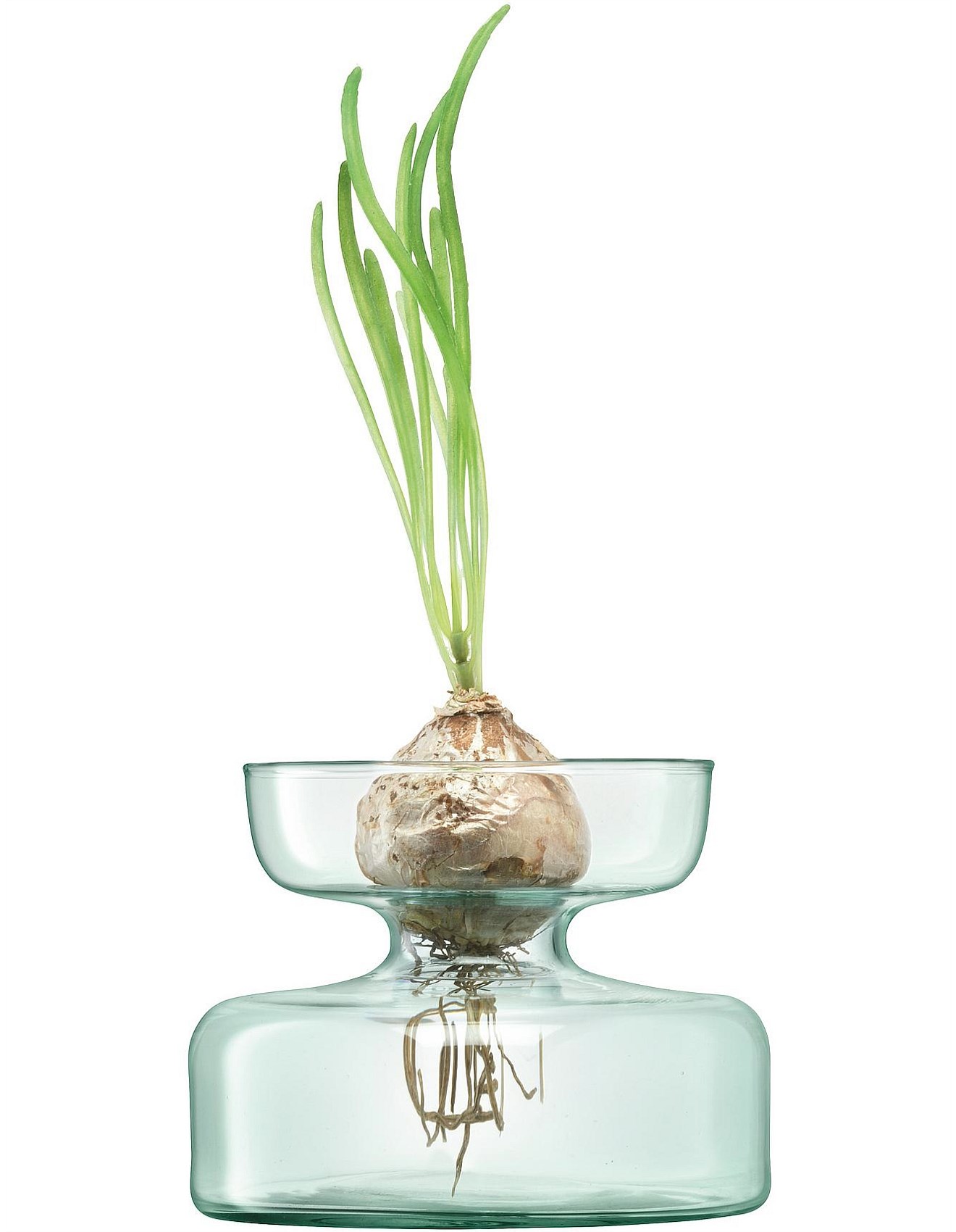 Vases Buy Glass Vases Online David Jones Canopy Bulb Planter