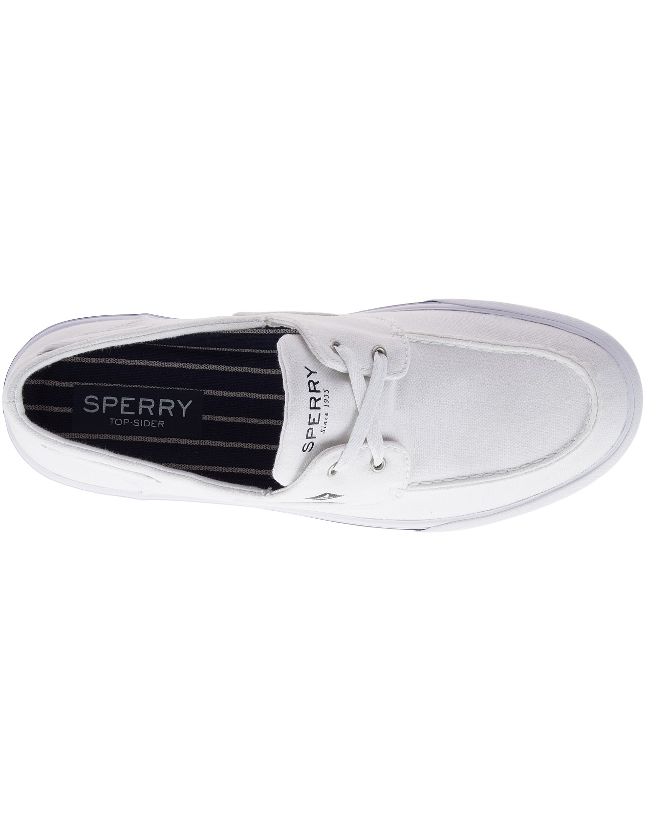 sperry david jones