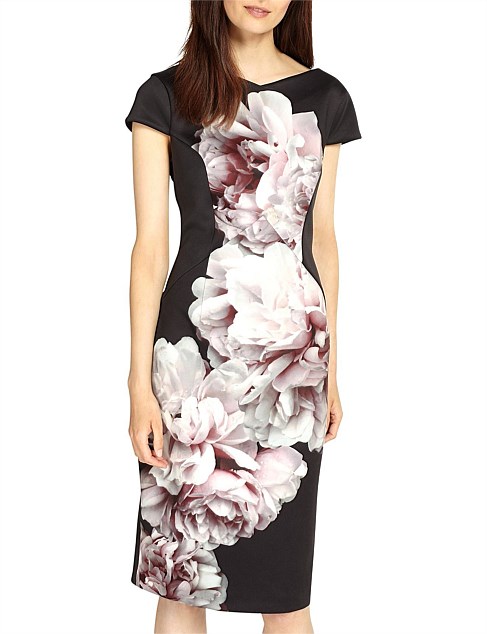 Phase eight dresses david jones sale