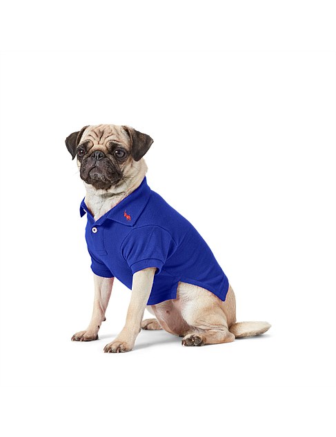 Cotton Mesh Dog Polo Shirt Royal Blue Lrg