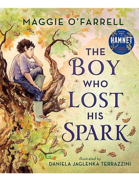 The Boy Who Lost His Spark