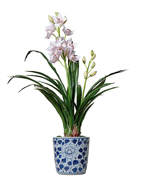 Cymbidium-Patterned Pot 45x45x83cm Pink