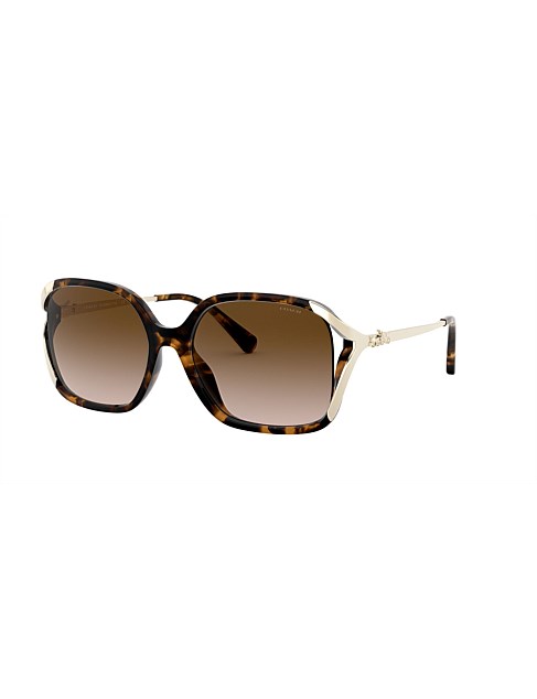 L1116 Square HAVANA BROWN GRADIENT Female Sunglass