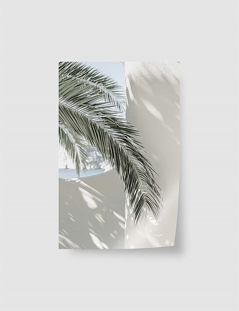 Coastal Palm A4 Unframed Print