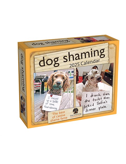 DOG SHAMING 2025 DAY-TO-DAY BOXED CALENDAR