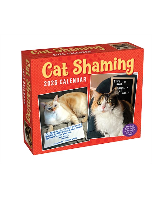 CAT SHAMING 2025 DAY-TO-DAY BOXED CALENDAR