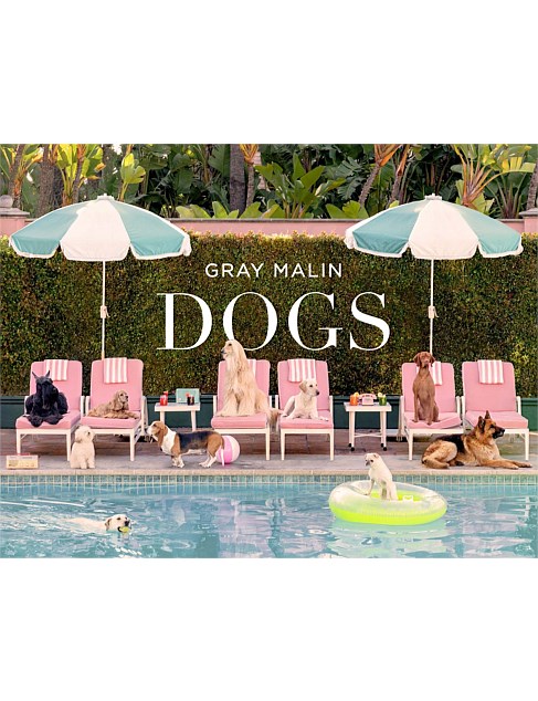 Gray Malin Dogs by Gray Malin