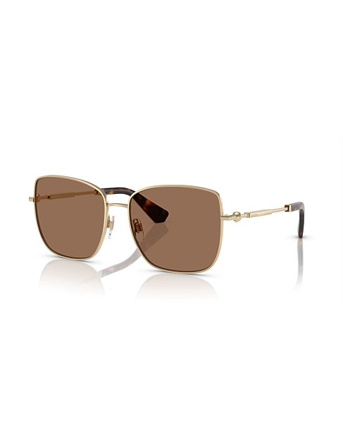 Square GOLD DARK BROWN Sunglasses