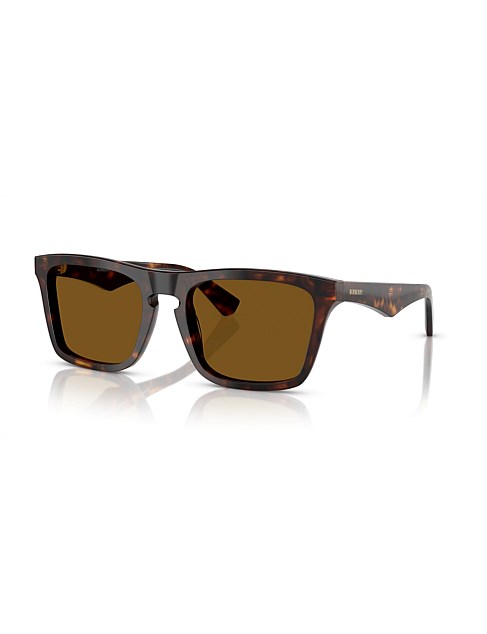 Square HAVANA DARK BROWN POLAR Sunglasses