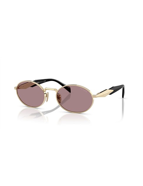 Oval BLACK LIGHT PURPLE BROWN Sunglasses