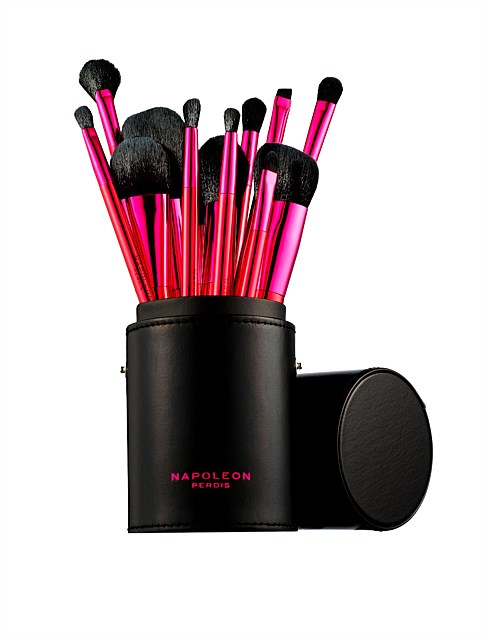 BRUSH LUST 12PC BRUSH SET