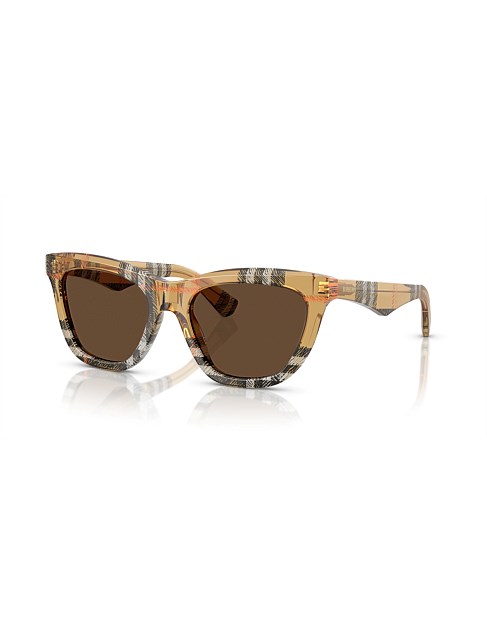 Cat Eye LIGHT BROWN DARK BROWN Sunglasses