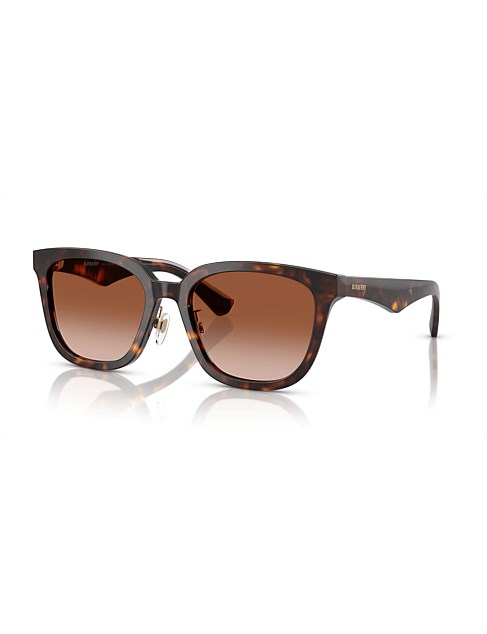 Square HAVANA BROWN GRADIENT Sunglasses