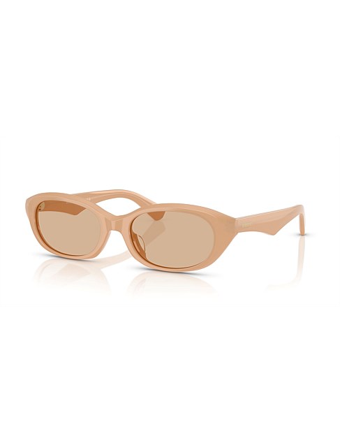 Oval LIGHT BROWN DARK BROWN Sunglasses