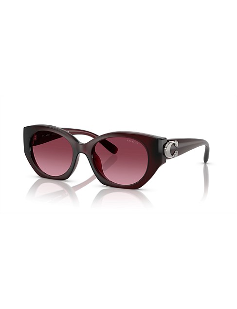 CW194 Oval PURPLE/REDDISH BERRY GRADIENT Sunglasses