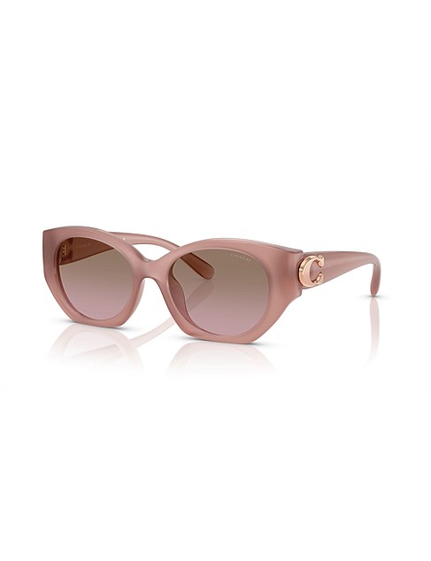 CW194 Oval PINK BROWN ROSE GRADIENT Sunglasses