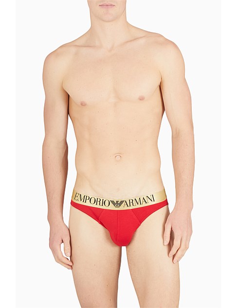 SHINY LOGO BRIEF