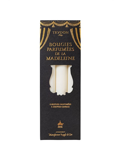 Fir Madeleine taper candle