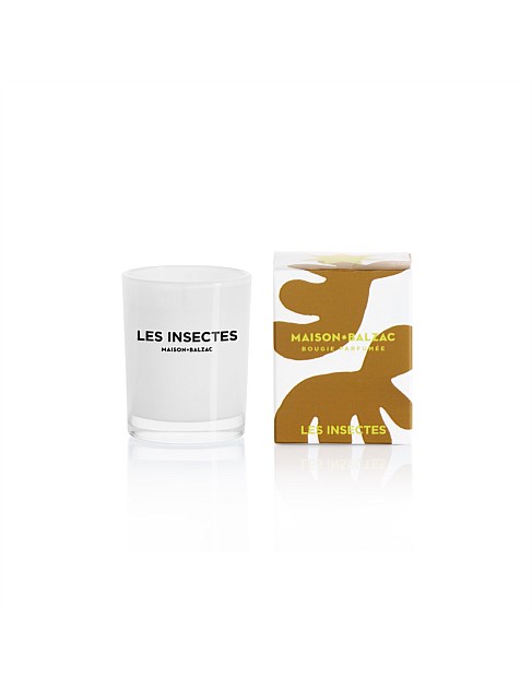 LES INSECTES MINI CANDLE