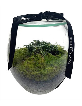 Terrarium Mini Living