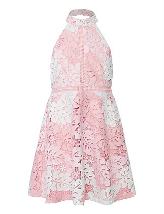 david jones bardot junior dress