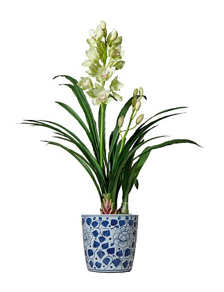 Cymbidium-Patterned Pot 45x45x83cm Green