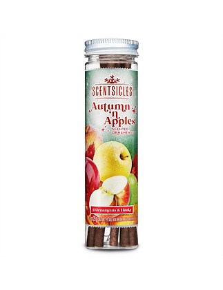 Autumn n Apples Aroma Stick Ornaments set of 6