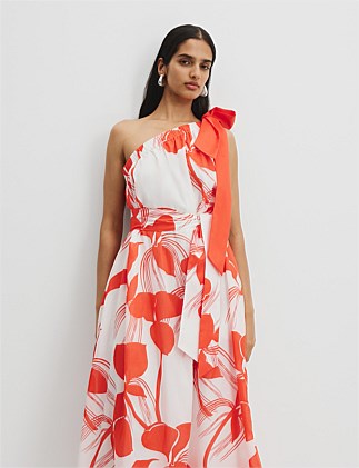 Print Trapeze Maxi Dress