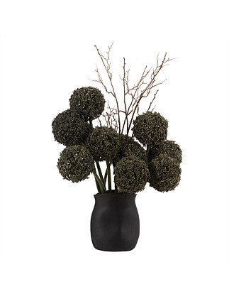 Allium Spray-Maliah Pot