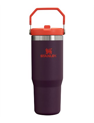 CLASSIC FLIP STRAW TUMBLER 30OZ PLUM