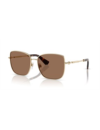 Square GOLD DARK BROWN Sunglasses