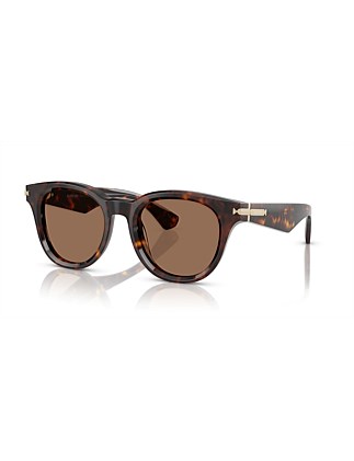 Round HAVANA DARK BROWN Sunglasses