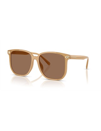 Square LIGHT BROWN BROWN SOLID Sunglasses