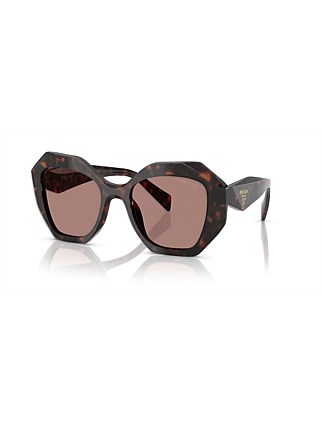 Irregular HAVANA LIGHT BROWN Sunglasses