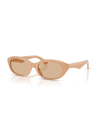 Oval LIGHT BROWN DARK BROWN Sunglasses