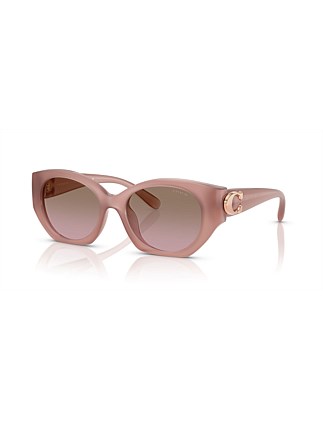 CW194 Oval PINK BROWN ROSE GRADIENT Sunglasses