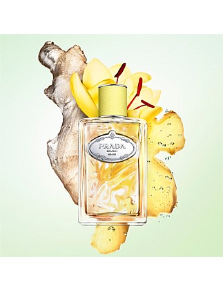 Prada Infusion De Gingembre EDP 100ml