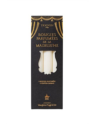 Fir Madeleine taper candle