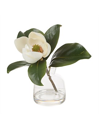 Magnolia Stem-Glass Vase