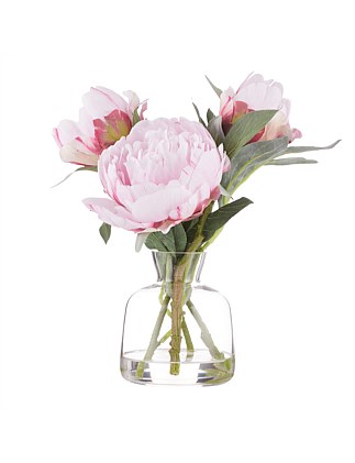 Peony Stem-Clear Glass Vase