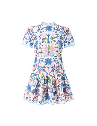 Joanna Embroidered Mini Dress